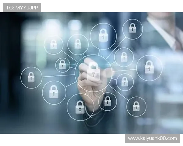 开云的网址安全保障措施，保障用户在官网访问时的信息安全