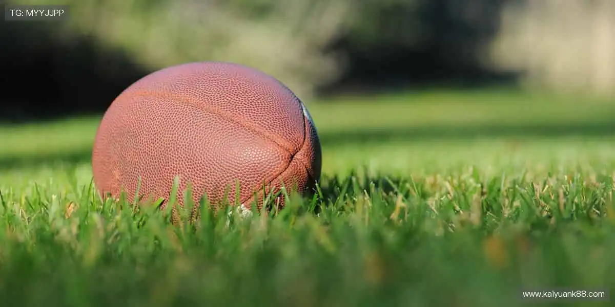 📡 无缝连接,不错过任何精彩瞬间!🌟